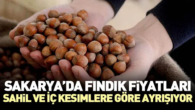 Sakarya'da Fındık Fiyatları Sahil ve İç Kesimlere Göre Ayrışıyor