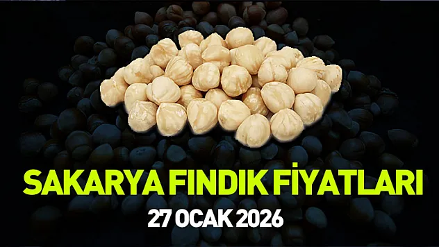 27 Ocak 2026 Sakarya Fındık Fiyatları | Sakarya'da Üretici Beklemede