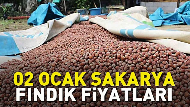 Sakarya'da Fındıkta Sessiz Direnç: Üretici Piyasayı Kilitledi