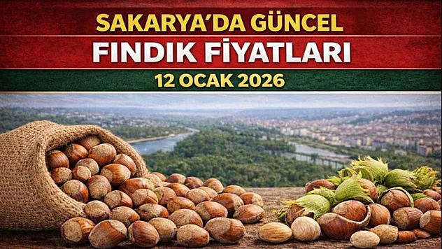 Sakarya'da Güncel Fındık Fiyatları - 12 Ocak 2026
