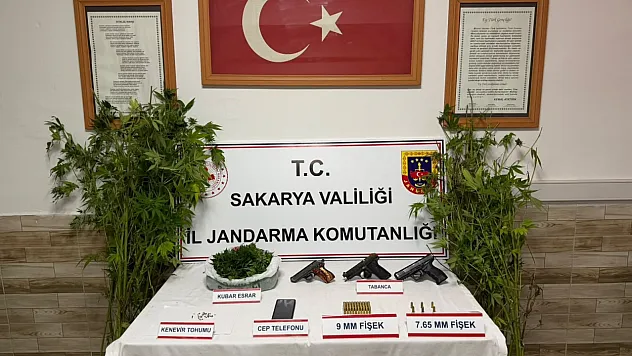 Sakarya'da Jandarmadan 3 ilçede eş zamanlı uyuşturucu operasyonu, 4 kişi tutuklandı