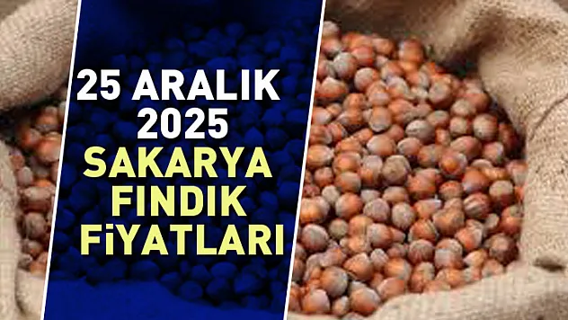 Sakarya Fındık Fiyatları Ayakta | 25 Aralık'ta Marmara Talebi Devrede