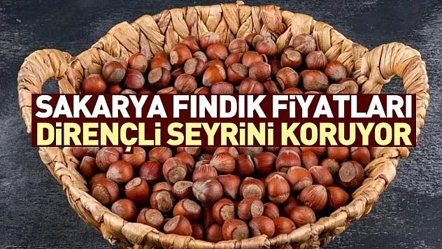 Sakarya Fındık Fiyatları Dirençli Seyrini Koruyor | 27 Aralık'ta Marmara Talebi Etkili