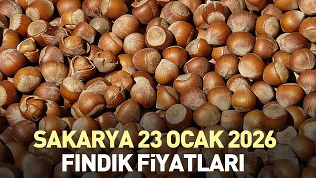Sakarya Fındık Fiyatları Sahil ve İç Kesim Dengesiyle Şekilleniyor