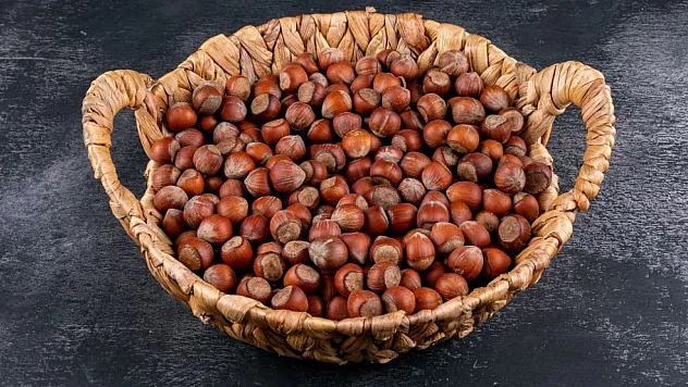 Sakarya ve ilçelerindeki rakamlar fındık fiyatları belli oldu!