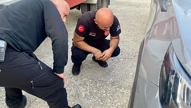 Düzce'de otomobilin motoruna sıkışan yavru kedi kurtarıldı