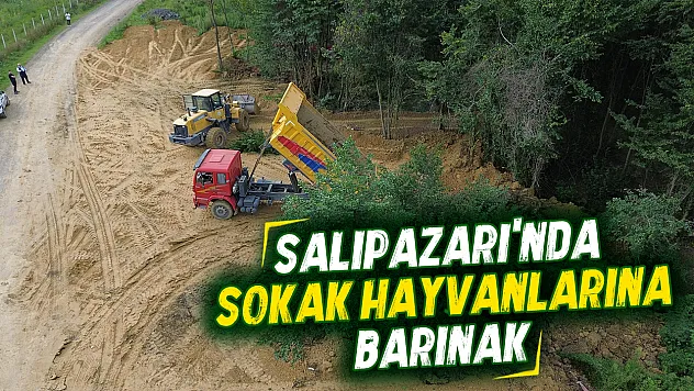 Salıpazarı'nda can dostlar için yuva: Bakım ve rehabilitasyon merkezinde sona doğru