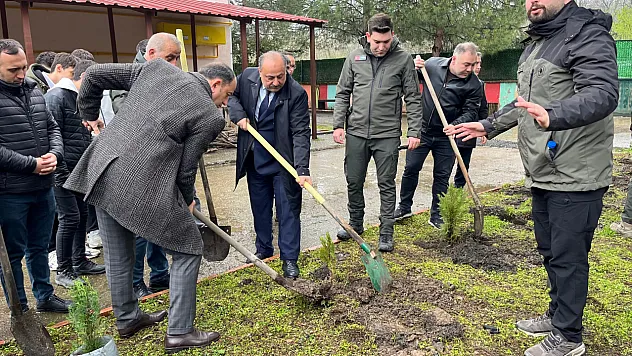 Salıpazarı'nda fidanlar toprakla buluştu