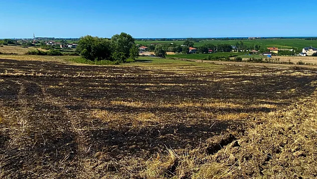 Samsun Alaçam'da korkutan arazi yangını
