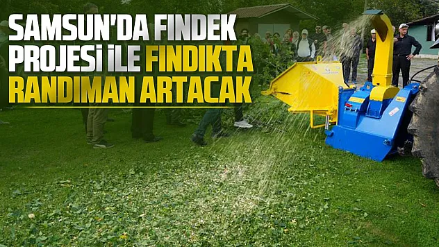 Samsun Atakum'da fındığın randımanın artıracak proje