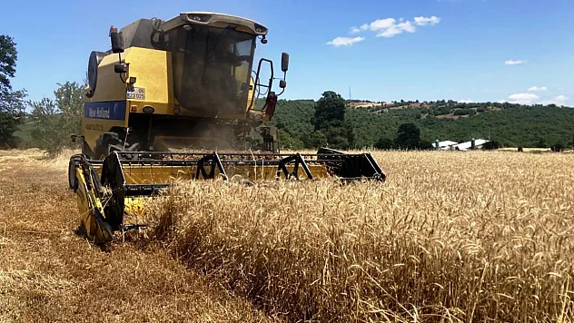 Samsun bitkisel üretimde zirveyi hedefliyor