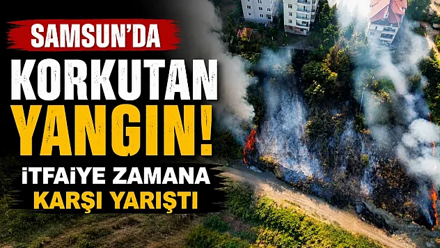 Samsun Canik'te korkutan anız yangını