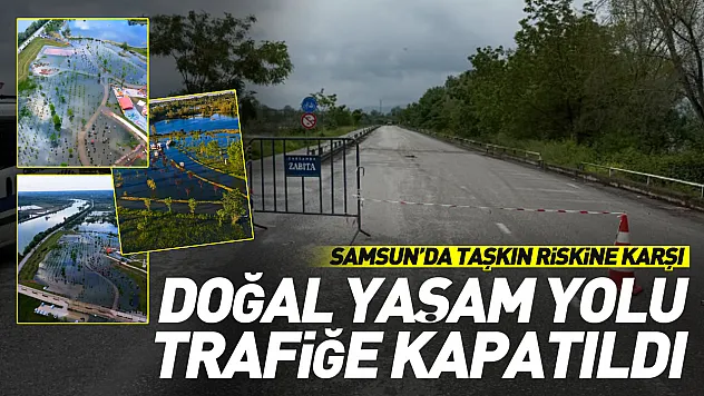 Samsun Çarşamba'da Doğal Yaşam Yolu Trafiğe Kapatıldı