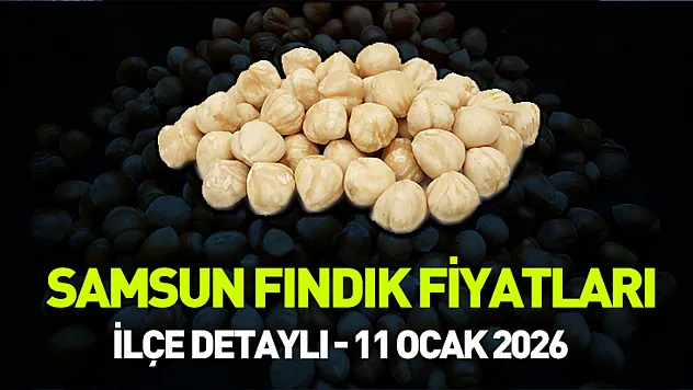 Samsun, Çarşamba ve Terme Fındık Fiyatları! 11 Ocak 2026 Liste Fiyatı