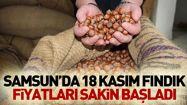 Samsun'da 18 Kasım fındık fiyatları sakin başladı