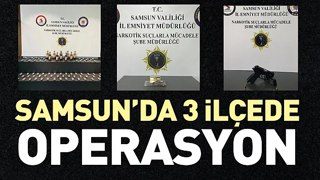 Samsun'da 3 ilçede operasyon