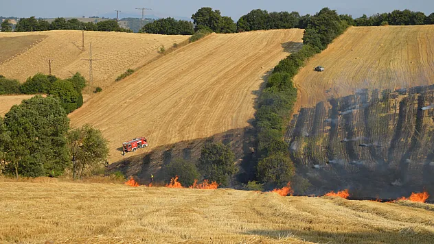 Samsun'da 50 dekar tarım arazisi zarar gördü