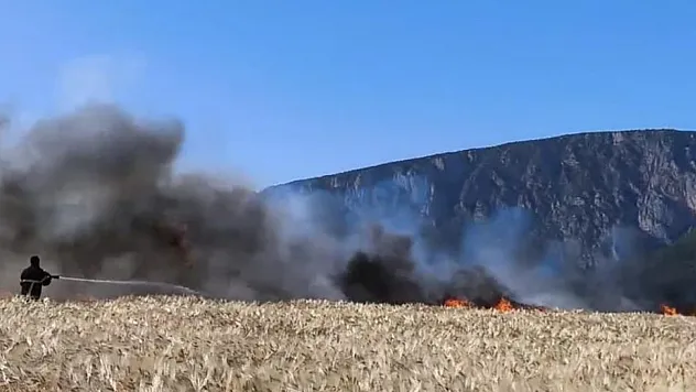 Samsun'da 61 dönüm alan kül oldu !