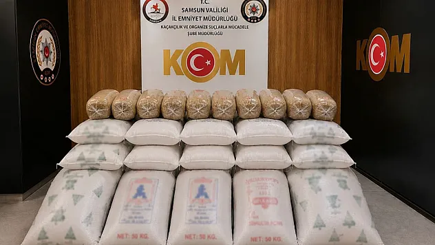 Samsun'da 770 kilo kaçak tütün ele geçirildi