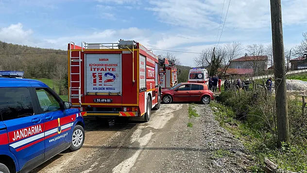 Samsun'da ağaç can alıyordu!