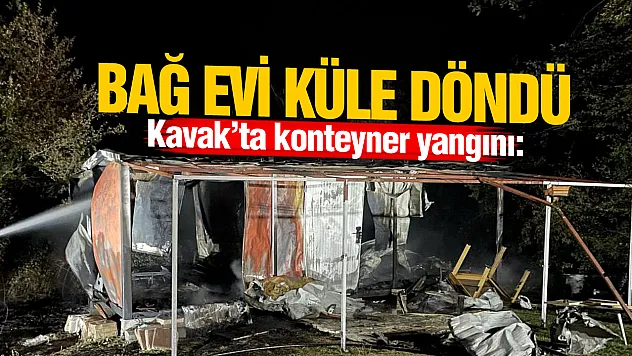 Samsun'da bağ evi olarak kullanılan konteyner küle döndü