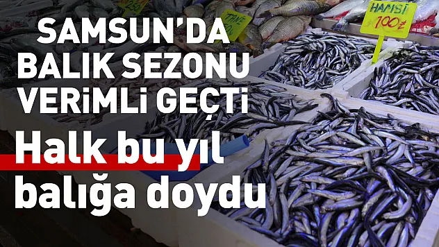 Samsun'da balık sezonu verimli geçti: Halk bu yıl balığa doydu