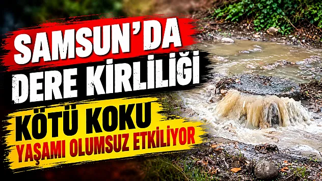 Samsun'da Baruthane Deresi'nde kötü koku tepkisi