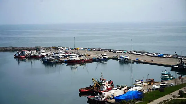 Samsun'da Dev Balık Üretimi Planı