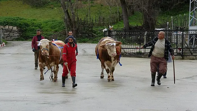 Samsun'da dikkat çeken Umre hediyeli kampanya
