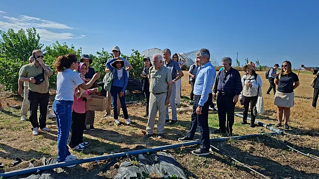 Samsun'da doğaya uğur böceği salımı yapıldı