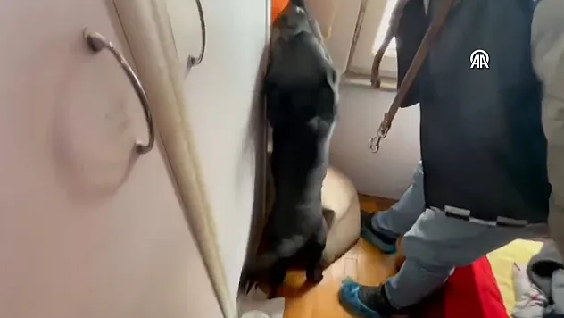Samsun'da dolaptaki uyuşturucuyu Tahra buldu
