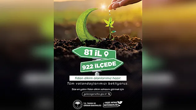 Samsun'da fidan dikim alanları açıklandı