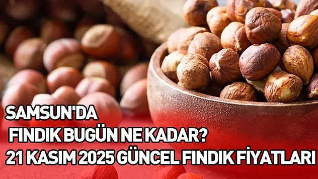 Samsun'da Fındık Bugün Ne Kadar? 21 Kasım 2025 Güncel Fındık Fiyatları