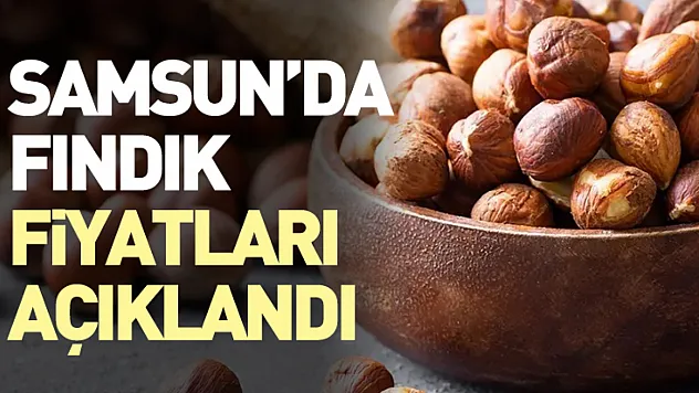 Samsun'da fındık fiyatları açıklandı