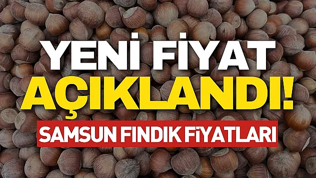 Samsun'da fındık fiyatları açıklandı | Çarşamba ve Terme'de güncel fiyat