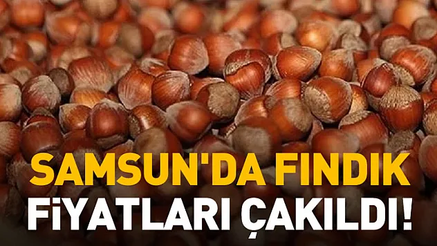 Samsun'da Fındık Fiyatları Çakıldı!