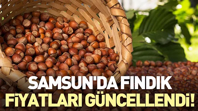 Samsun'da Fındık Fiyatları Güncellendi!