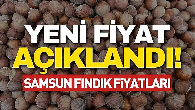 Samsun'da Fındık Fiyatları Yerinde Durmuyor! | Çarşamba ve Terme'de Rakamlar Değişti