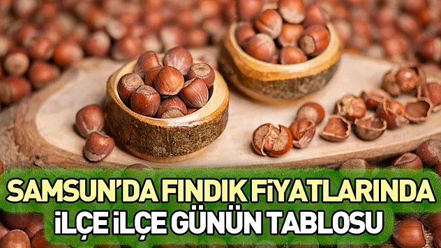 Samsun'da Fındık Fiyatlarında İlçe İlçe Günün Tablosu