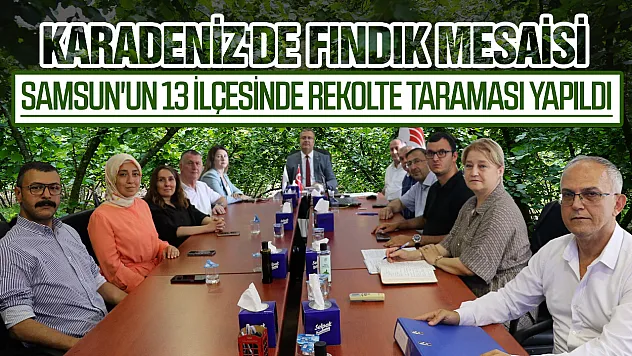 Samsun'da fındık mesaisi bitti: 2026 rekolte tahmini çalışmaları tamamlandı