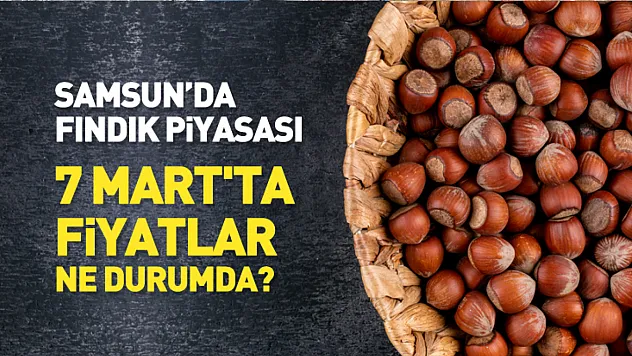 Samsun'da Fındık Piyasası: 7 Mart'ta Fiyatlar Ne Durumda?