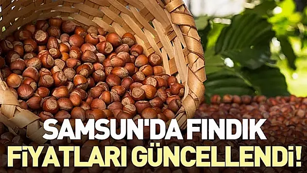 Samsun'da Fındık Piyasası Buz Kesti! | 13 Nisan Güncel Analiz