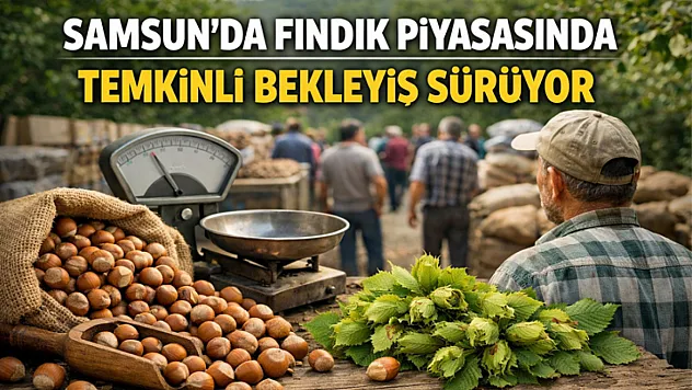 Samsun'da Fındık piyasasında temkinli bekleyiş sürüyor
