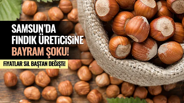 Samsun'da Fındık Üreticisine Bayram Şoku: Fiyatlar Sil Baştan Değişti!