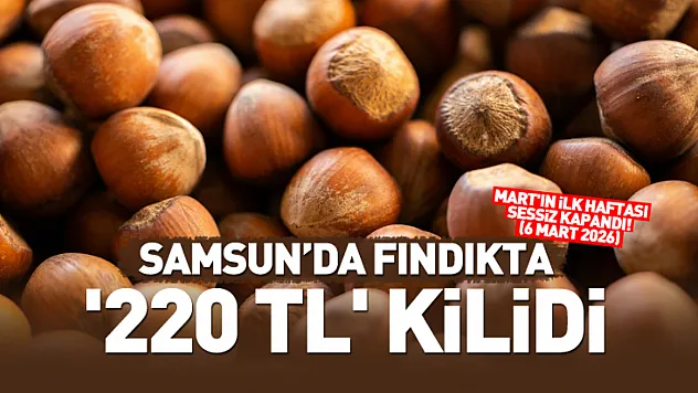 Samsun'da Fındıkta '220 TL' Kilidi: Mart'ın İlk Haftası Sessiz Kapandı! (6 Mart 2026)