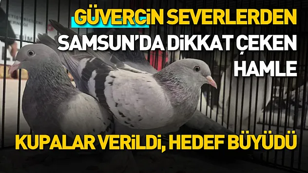 Samsun'da güvercin severler kupa töreninde buluştu