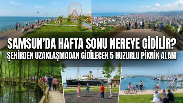 Samsun'da hafta sonu nereye gidilir? Şehirden uzaklaşmadan gidilecek 5 huzurlu piknik alanı