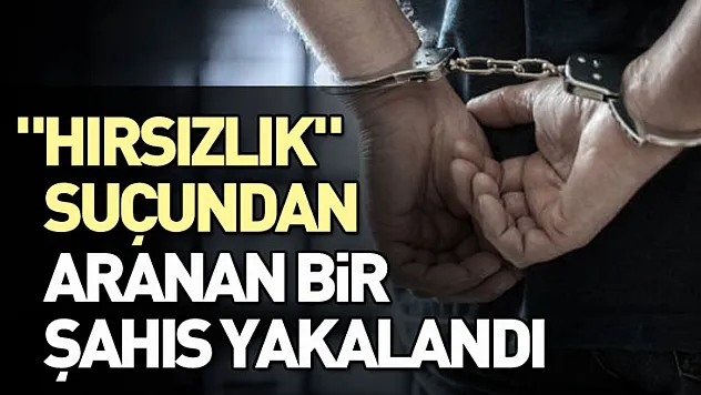 Samsun'da 'hırsızlık' suçundan aranan bir şahıs yakalandı