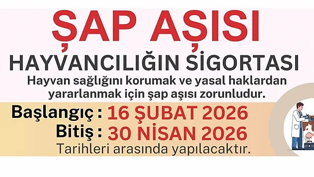 Samsun'da İlkbahar şap aşılama programı başladı