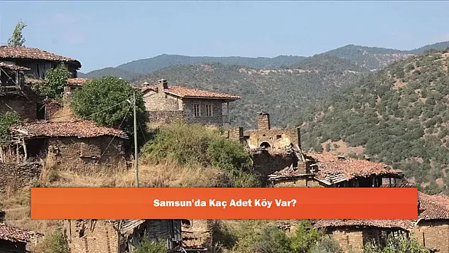 Samsun'da Kaç Adet Köy Var?